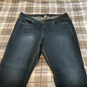 Torrid Jeans